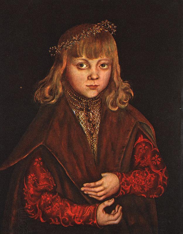 CRANACH, Lucas the Elder A Prince of Saxony dfg China oil painting art